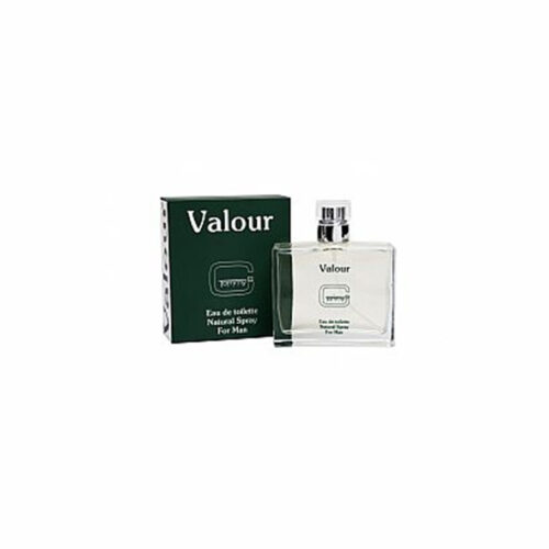 Valour - Image 1