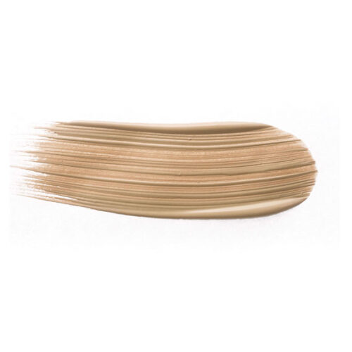 LEG FOUNDATION - Image 2