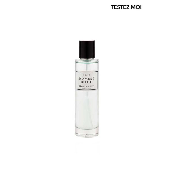 EAU D’AMBRE BLEUE PERFUME 100ML-0